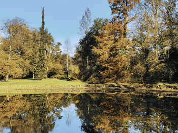 Reflection of trees in lake against sky