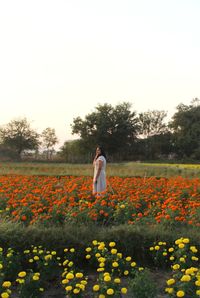 Woman standing amidst flowering plants against clear sky
