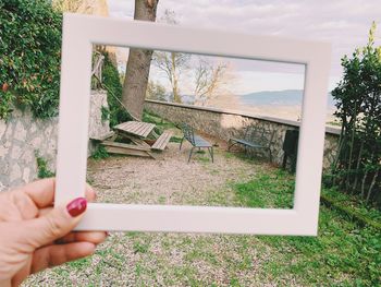Hand holding plant against trees