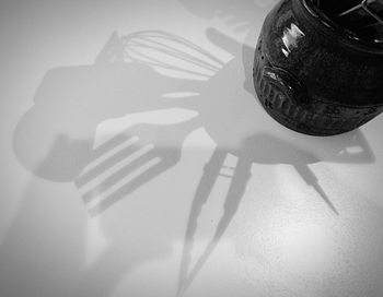 Close-up of food on table