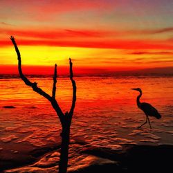 Scenic view of sea at sunset