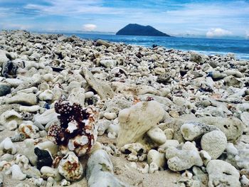 Rocks on beach against sky