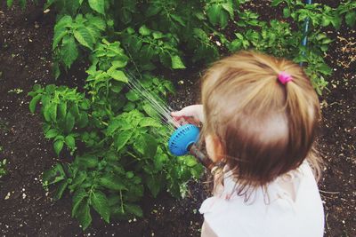 Rear view of girl watering plants 