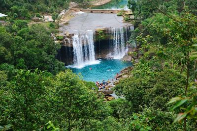 High angle view of waterfall in forest