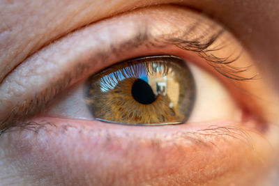 Closeup image of human eye