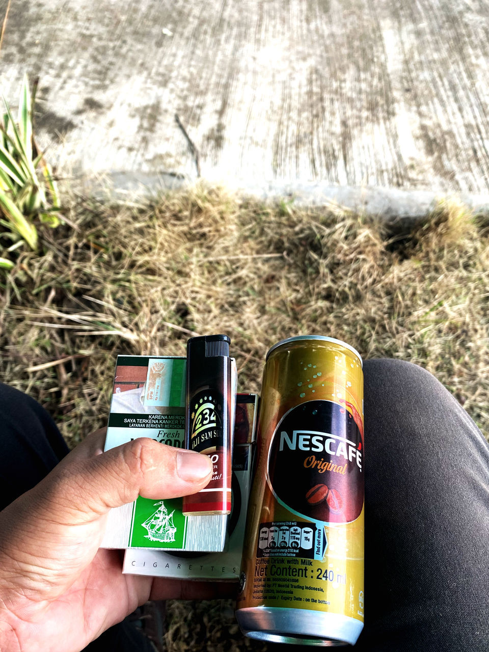 hand, holding, one person, plant, communication, nature, personal perspective, day, outdoors, drink, adult, close-up, green, high angle view, lifestyles, food and drink