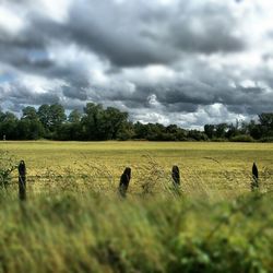 Scenic view of grassy field against cloudy sky