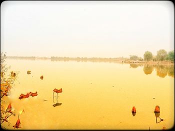 Scenic view of lake against clear sky