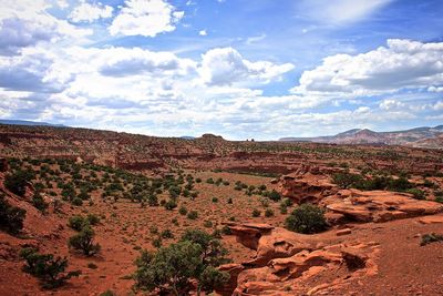 Scenic view of landscape against cloudy sky