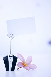 Close-up of wedding decoration on table