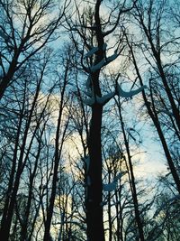 Low angle view of trees against sky