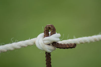 Close-up of rope tied up