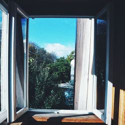 View of trees through window