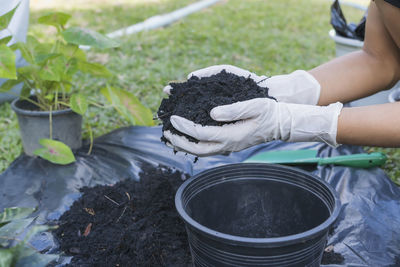 High angle view of woman holding plant