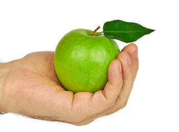 Cropped image of person holding leaf over white background