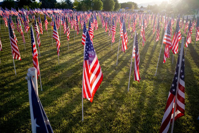 Panoramic shot of flags on field