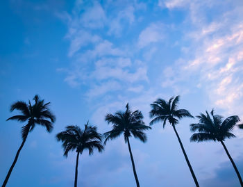 Low angle view of coconut palm trees against blue sky