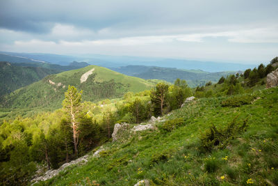 Scenic view of landscape against sky