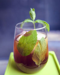 Close-up of drink in glass on plate