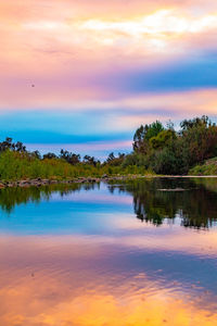 Reflection of trees in calm sea at sunset