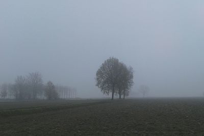 Scenic view of field in foggy weather