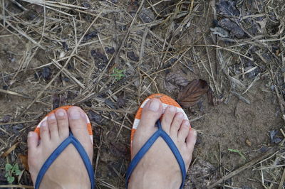 Low section of woman standing on ground