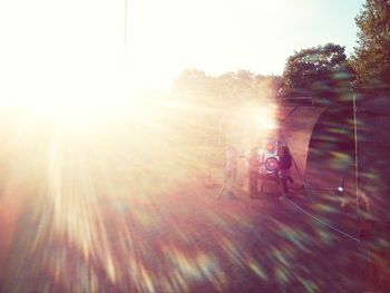 Sun shining through trees