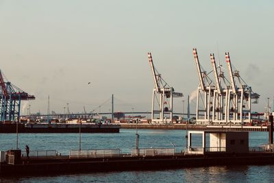 Cranes at commercial dock against sky