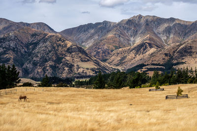 Scenic view of field and mountains against sky