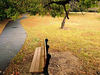 Footpath in park