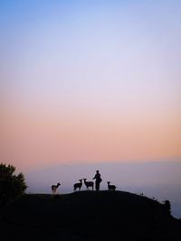 Silhouette man with deer standing on mountain against sky during sunset