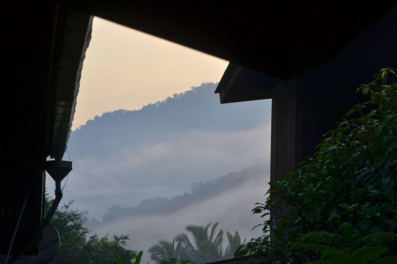 LOW ANGLE VIEW OF SILHOUETTE TREES AND BUILDING SEEN THROUGH WINDOW