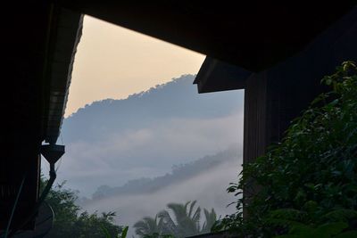 Low angle view of silhouette trees and buildings against sky