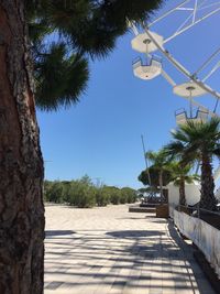 Footpath by palm trees against clear sky
