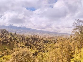 Nature scenery with cloudy sky