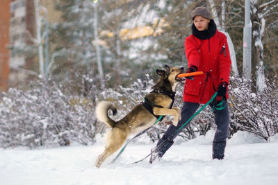 Rear view of man with dogs on snow covered field