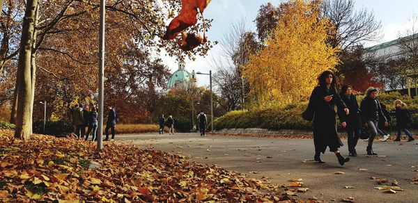 People walking in park during autumn