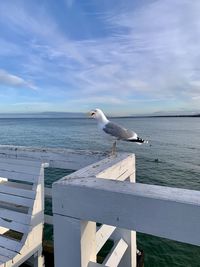 Seagull perching on wooden post in sea against sky