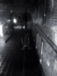 Blurred lights at night