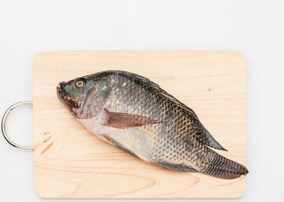 High angle view of fish on cutting board