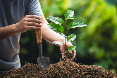 Midsection of man planting sapling in farm