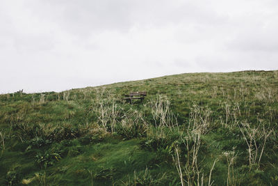 Scenic view of grassy field against cloudy sky