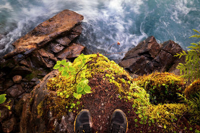 Low section of person standing on cliff by sea