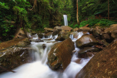 Scenic view of waterfall in forest