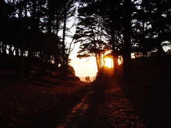 Silhouette trees in forest during sunset