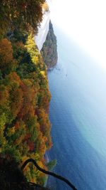 High angle view of trees by sea against sky