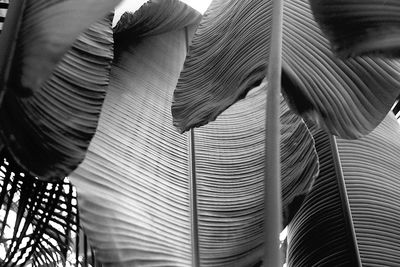 Full frame shot of blinds