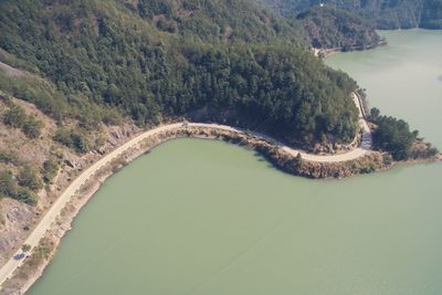 High angle view of river amidst trees