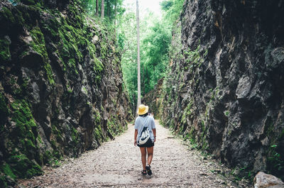 Rear view of woman walking on street amidst trees