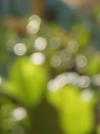 Defocused image of blurred background